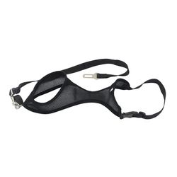 ***ARNES SEGURIDAD PERROS TALLA L ( 6 )