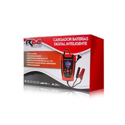 CARGADOR BATERIAS COCHE / MOTO 6V/12V RM CONNECT ( 4 )