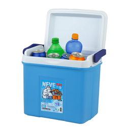NEVERA PORTATIL T25 DE 12V